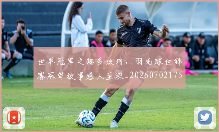 世界冠军之路多坎坷，羽毛球世锦赛冠军故事感人至深_20260702175523