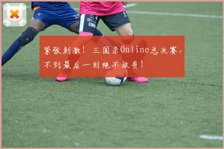 紧张刺激！三国杀Online总决赛，不到最后一刻绝不放弃！